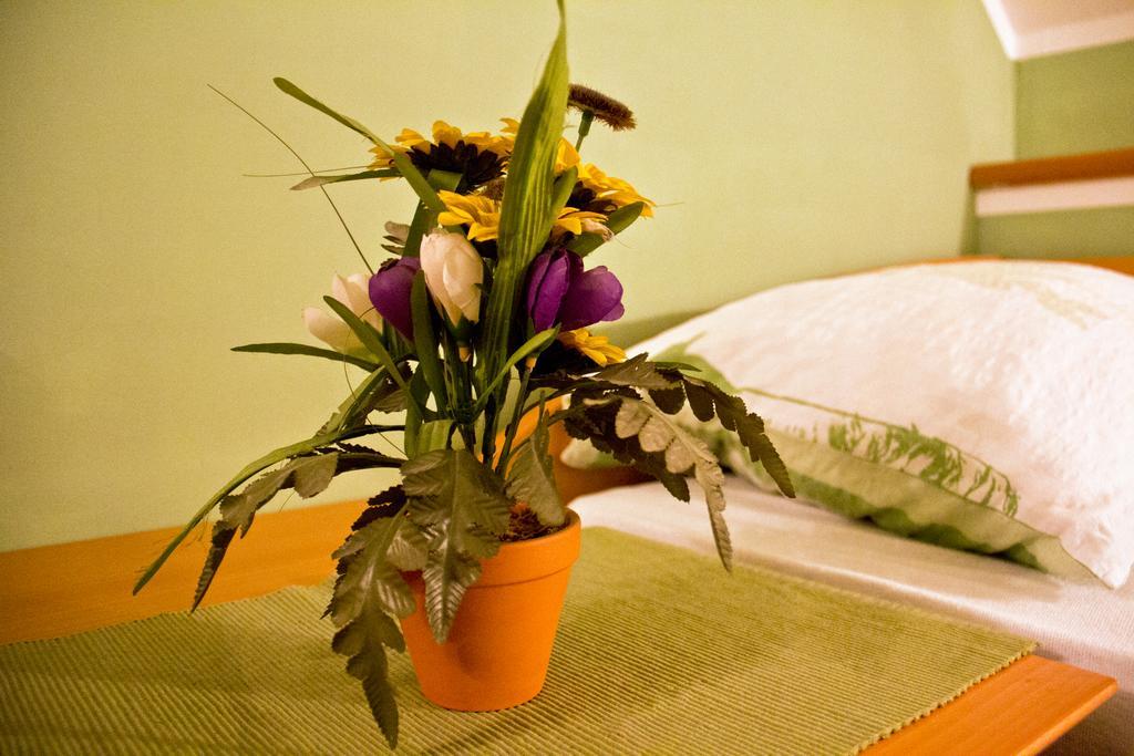 Guesthouse Jug Blato Екстериор снимка