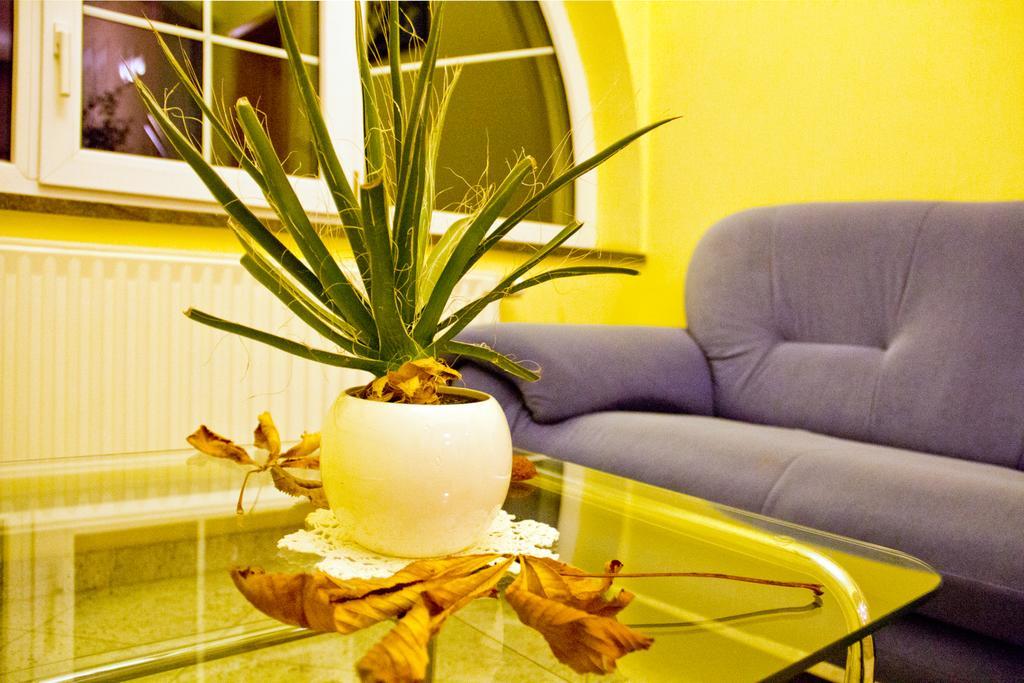 Guesthouse Jug Blato Екстериор снимка